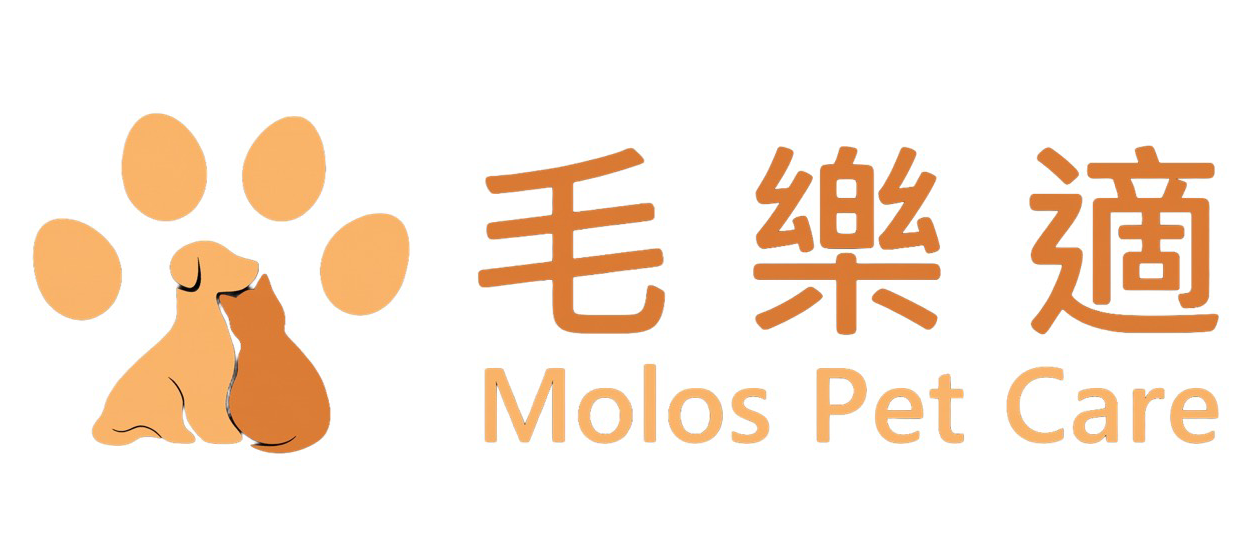 Molos 毛樂適