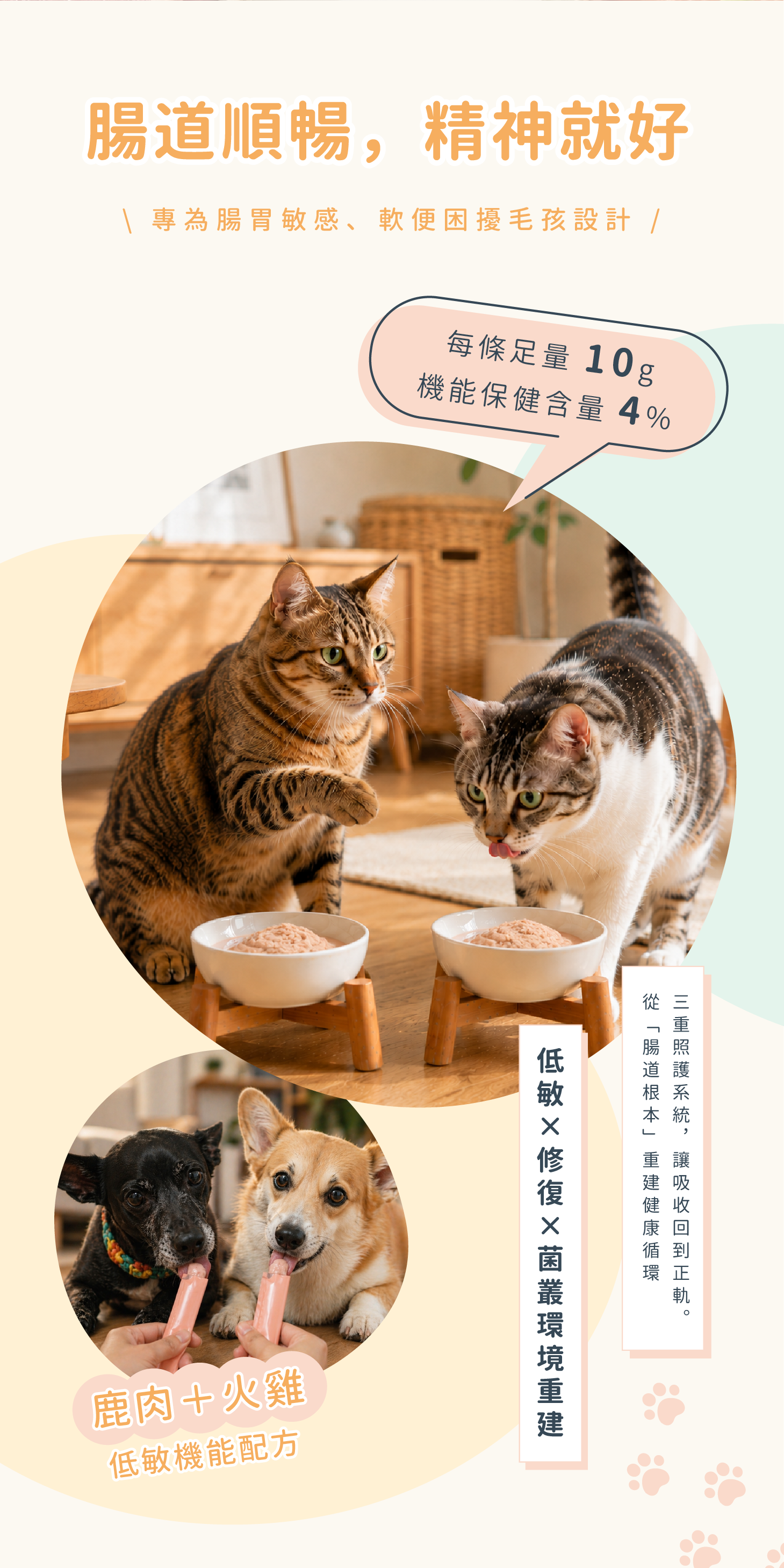 好腸力產品介紹