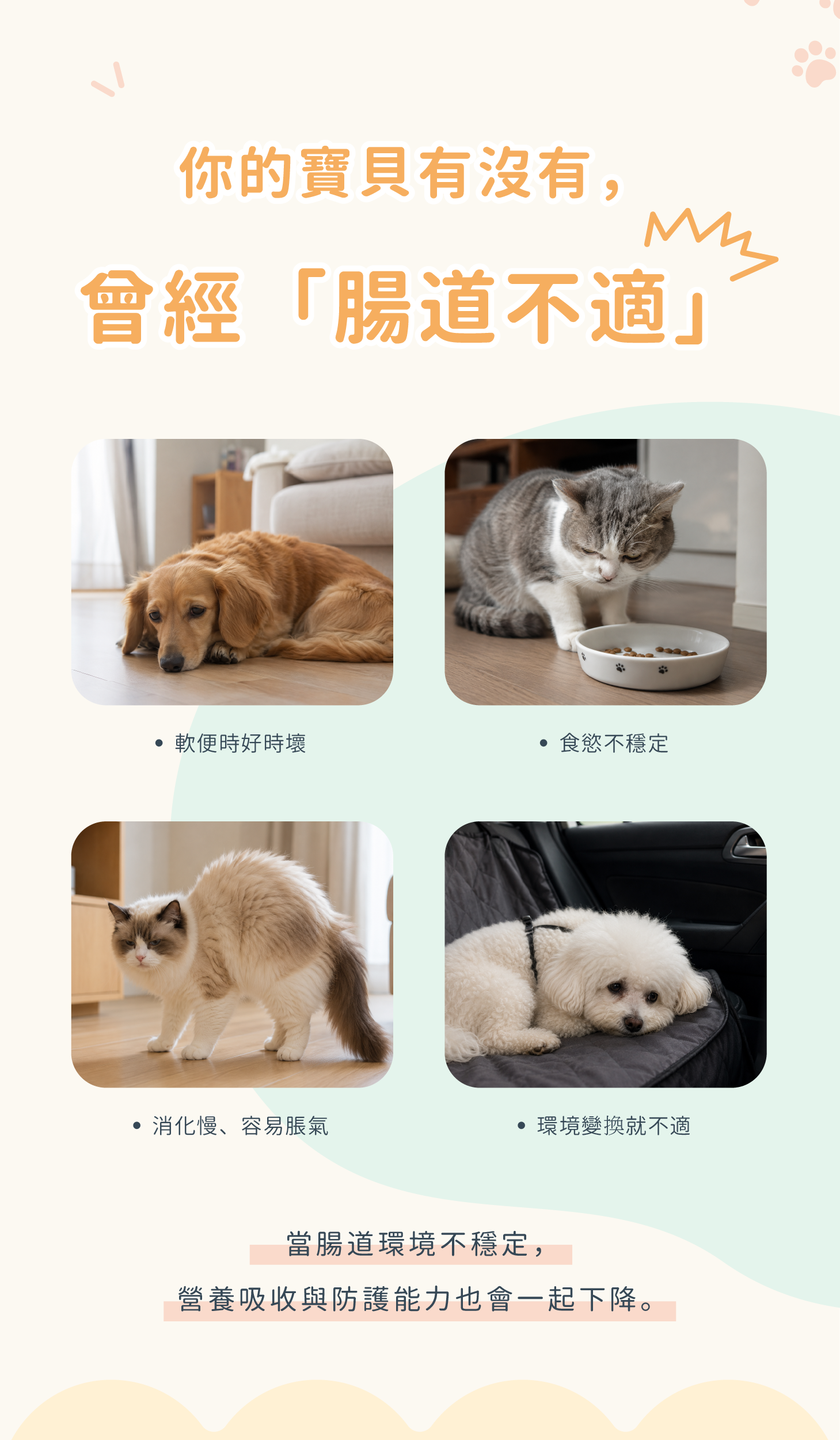 好腸力關鍵營養