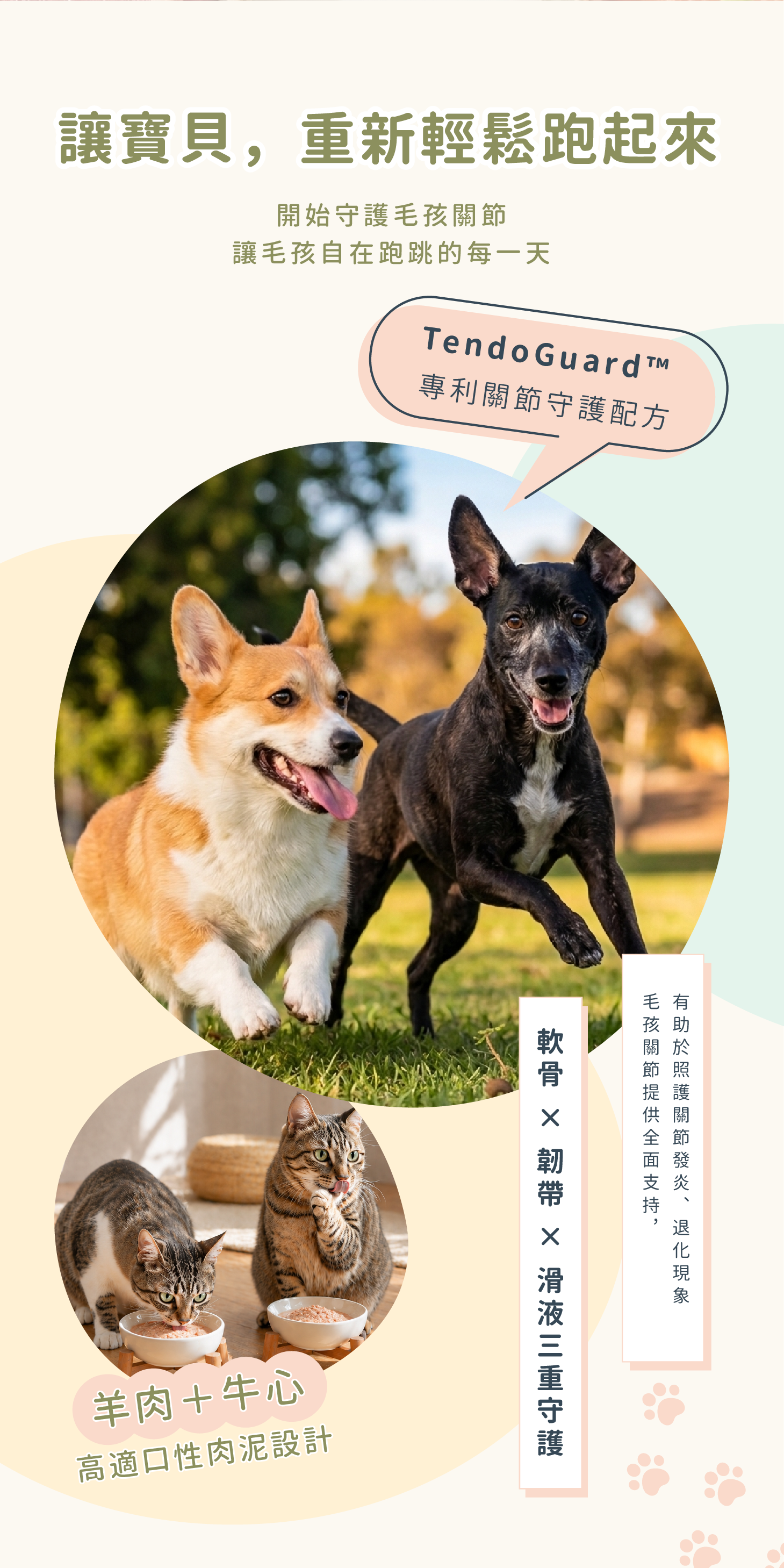 關節力產品介紹