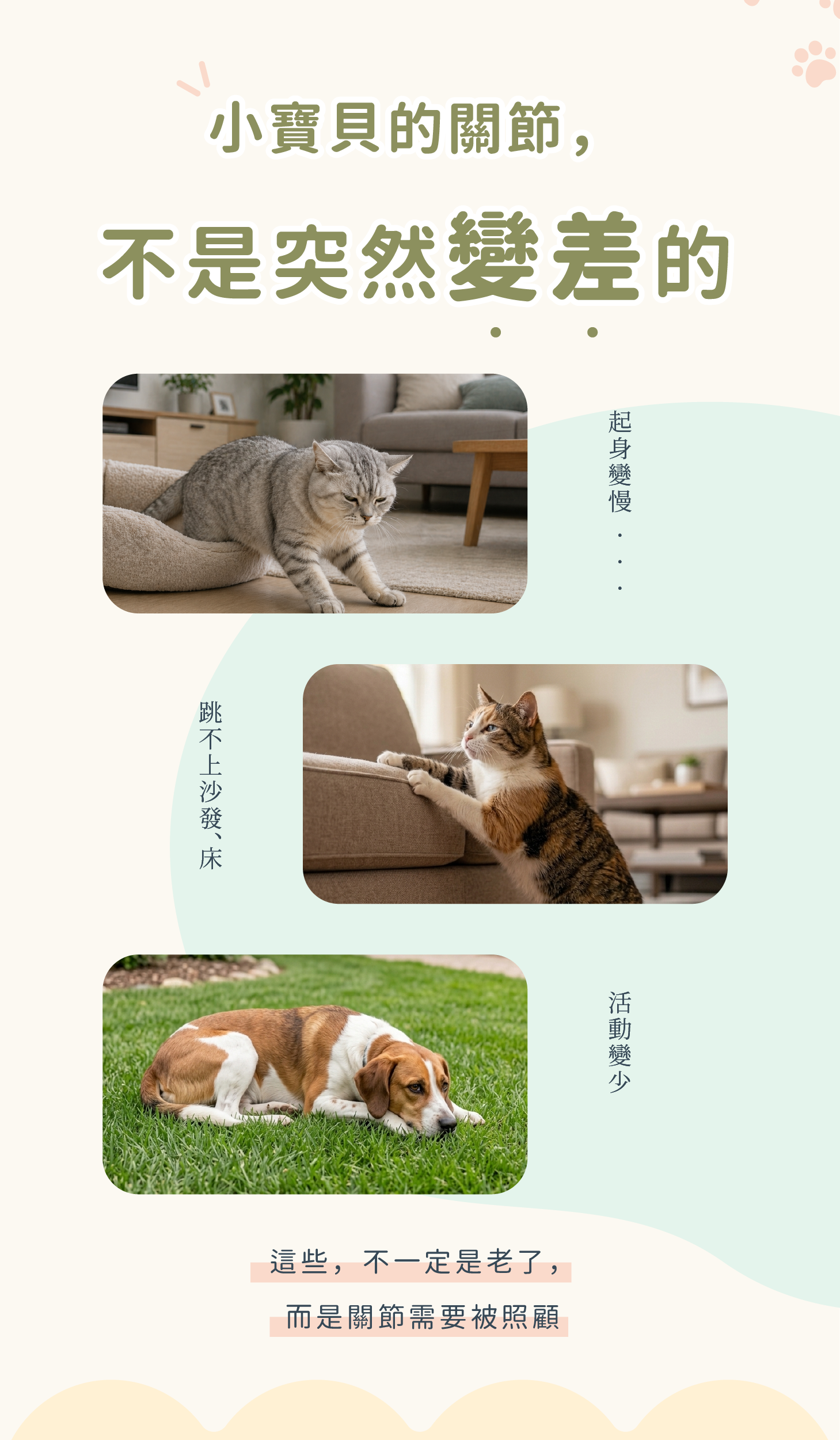 關節力關鍵營養