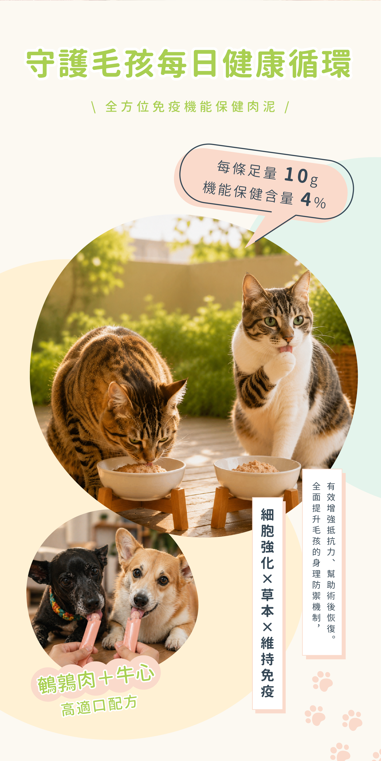 免疫盾產品介紹