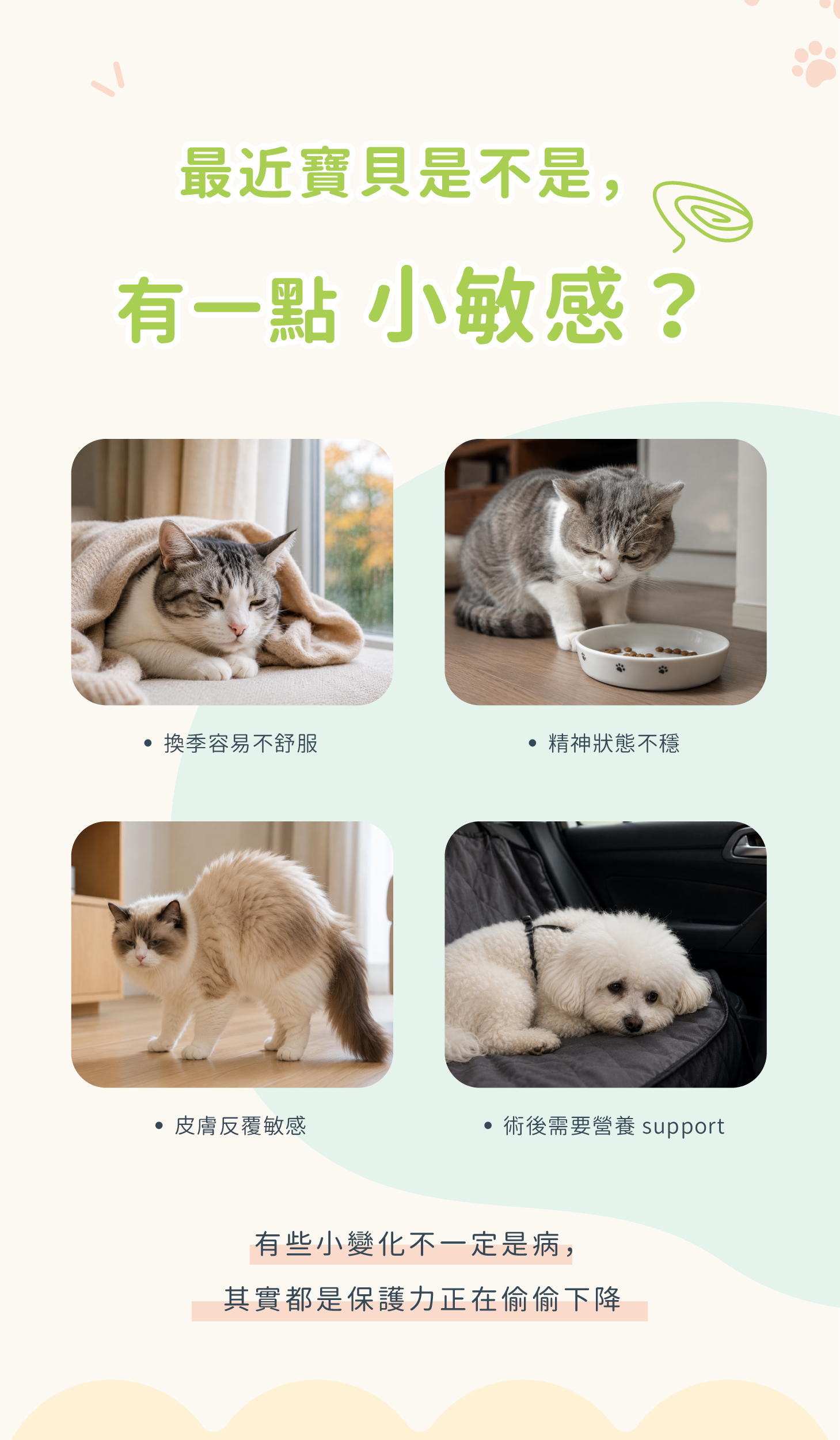 免疫盾關鍵營養