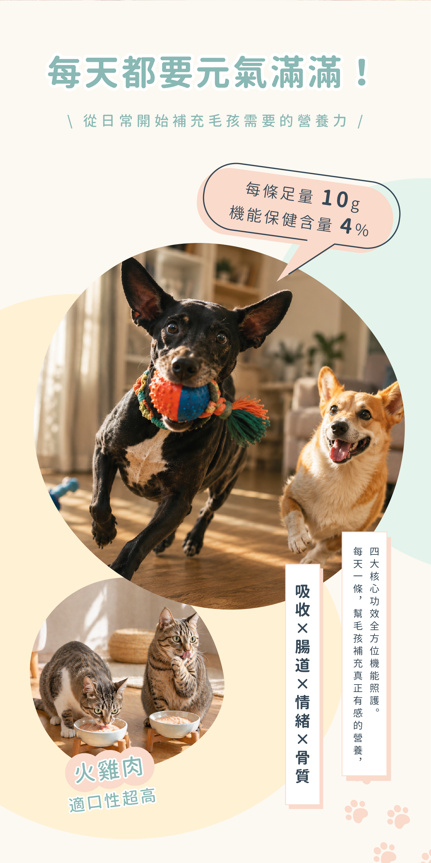 寵活力產品介紹