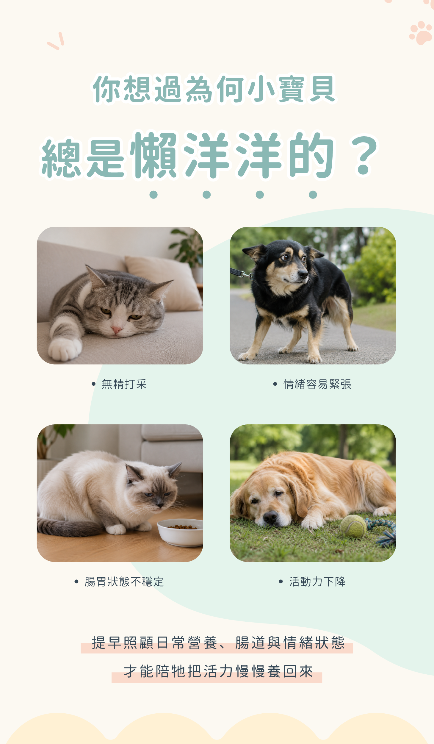 寵活力關鍵營養